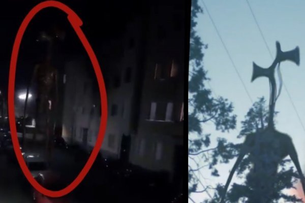 Кракен маркет что это такое