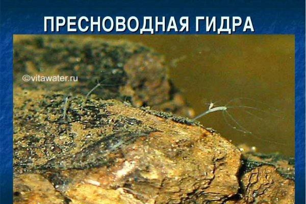 Кракен онион