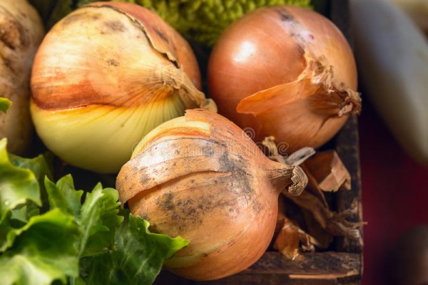 Kraken onion ссылка