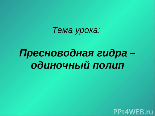Ссылки кракен телеграф