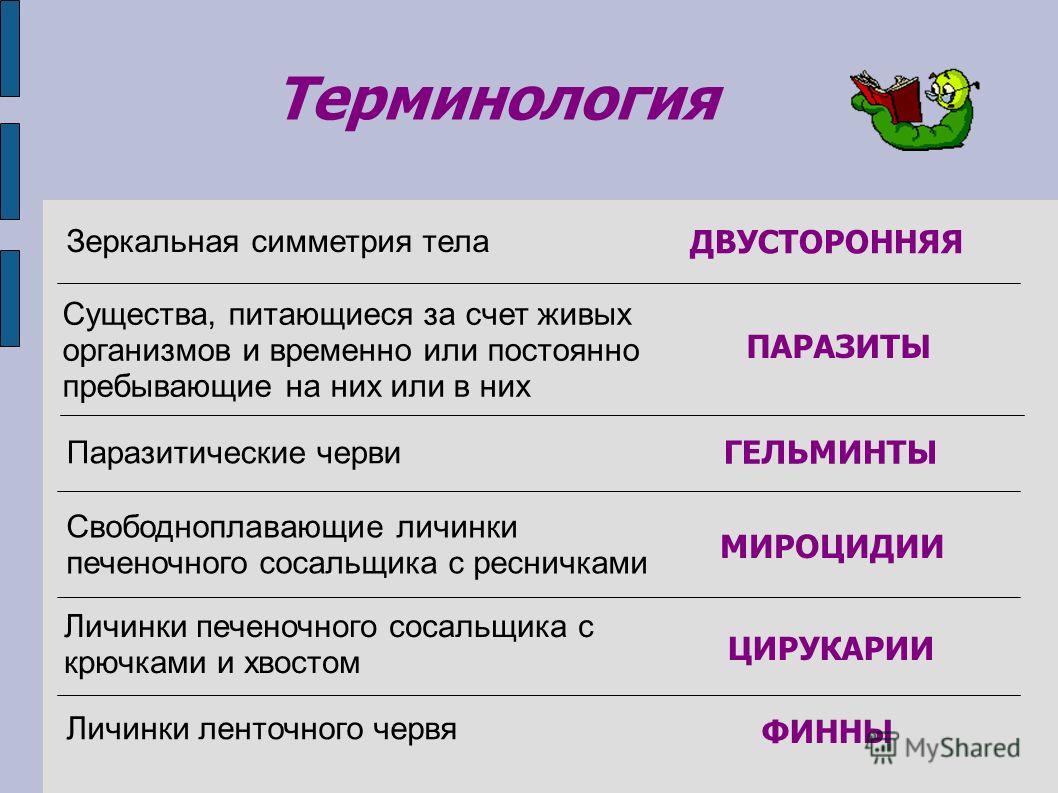 Кракен сайт ссылки актуальные